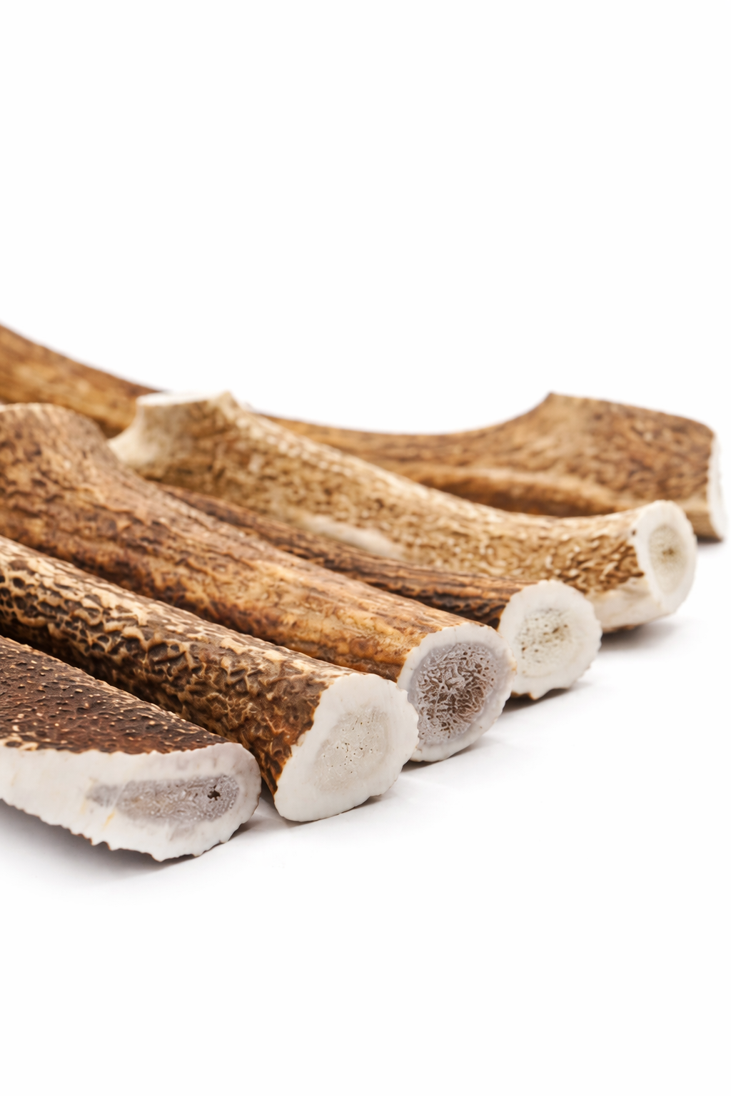 Deer Antler Chews