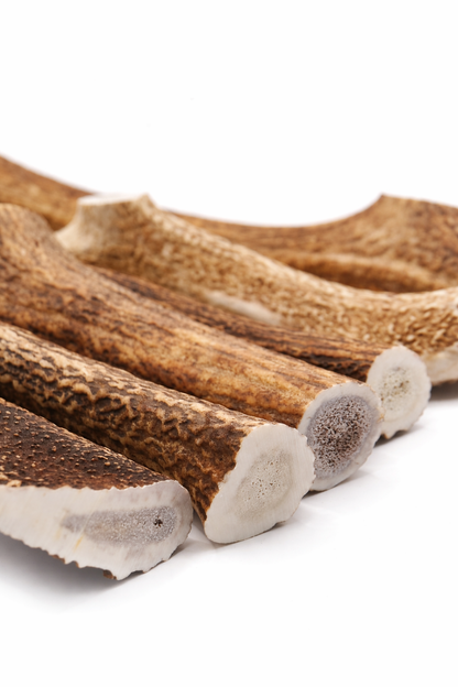 Deer Antler Chews