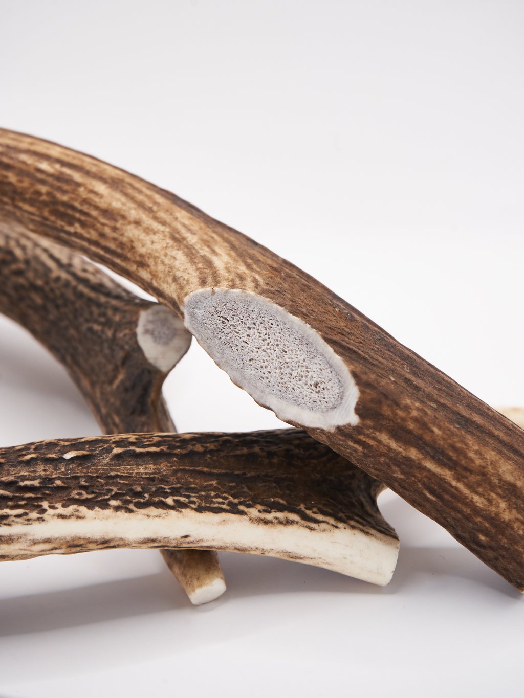 Deer Antler Chews